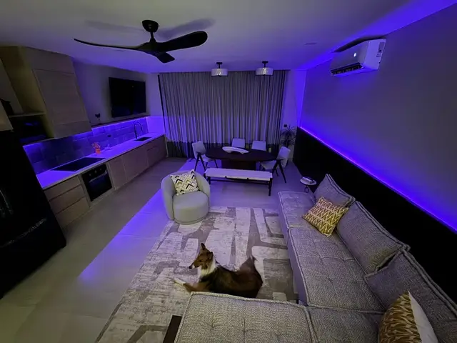 3 Bedroom Ocean View Sunset Villas 22 a dog lying on a rug in a living room
